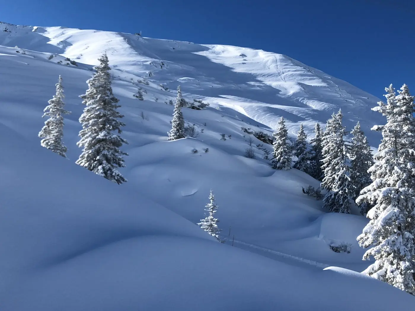 How to Make the Most of Your Ski Holiday in Stuben am Arlberg