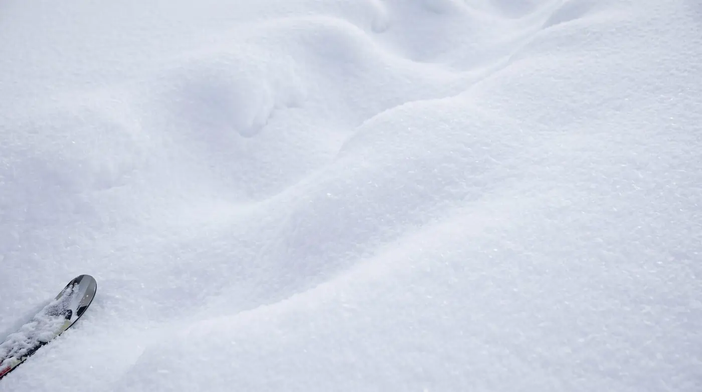 For Powder Seekers