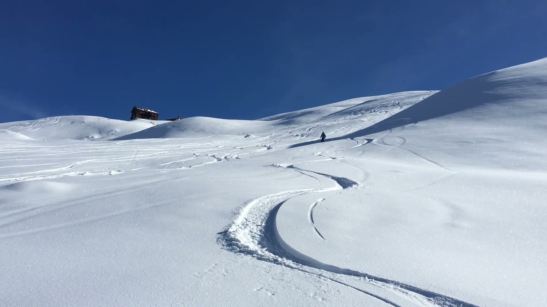 Frische Spuren im Pulverschnee, ein Skifahrer zieht seine Linie