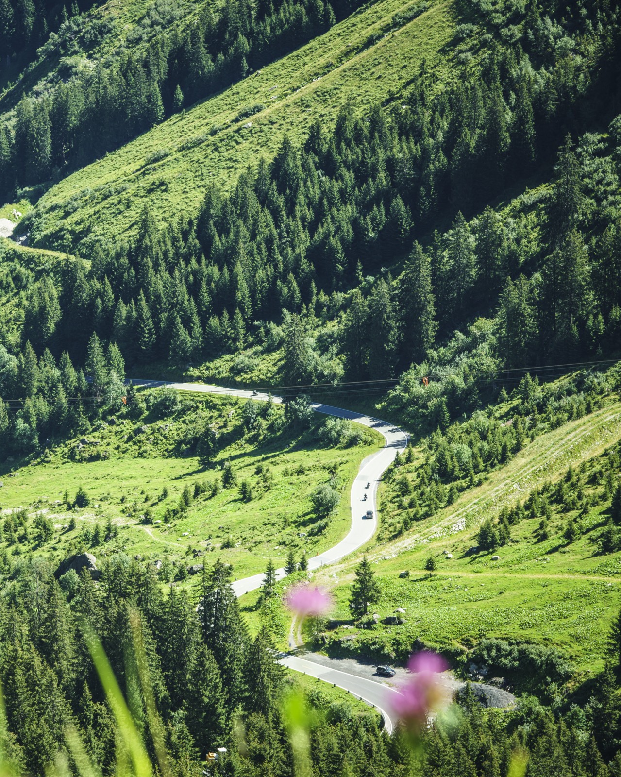 Scenic Drives – The Alpine Cinema