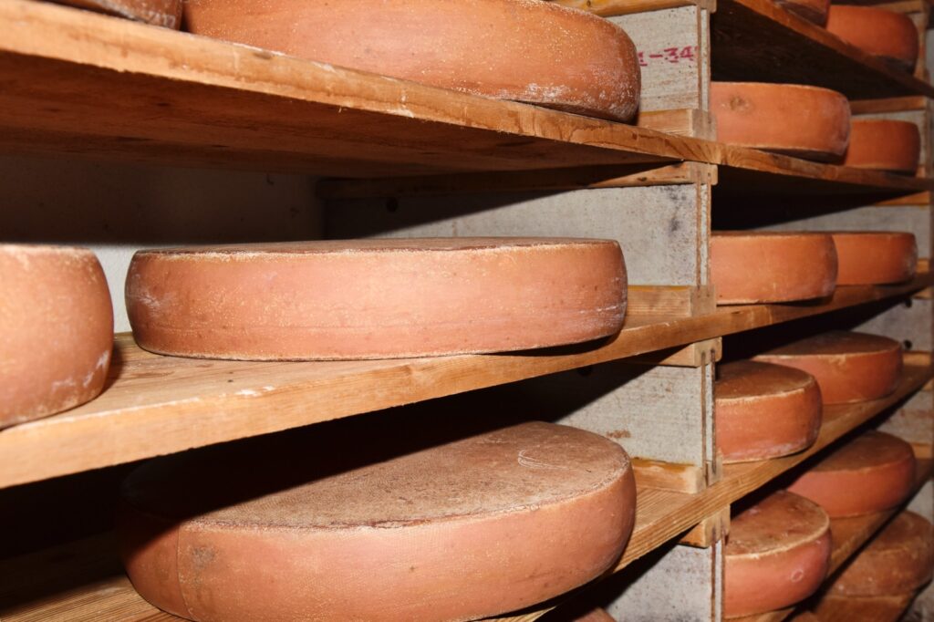 Alpine cheese wheels maturing in a wooden rack at Ferienhof Felder in Bezau, Austria – part of the Bregenzerwald Cheese Route (KäseStrasse), showcasing traditional dairy craftsmanship