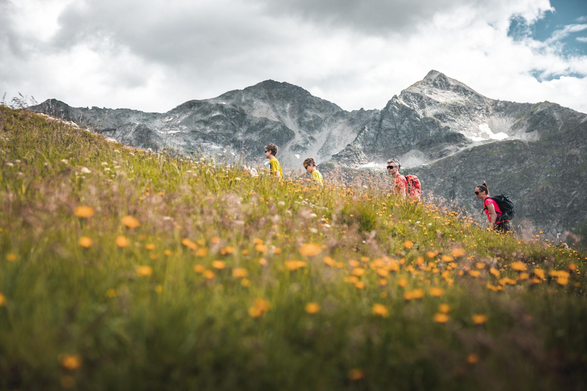 hiking in stuben am arlberg – The Arlberg Trail (Multi-Stage Circuit) – 4